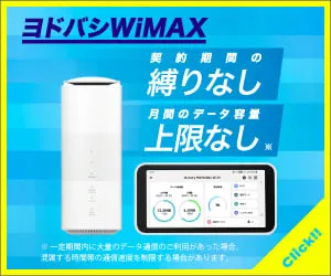 ヨドバシWiMAX